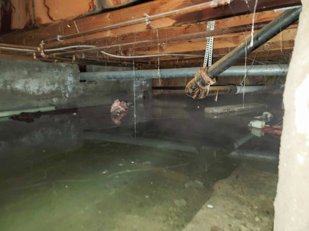 Best 24/7 water damage repair  in Twin Falls, ID