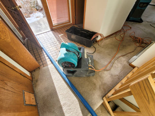 Best Flooded house restoration  in Twin Falls, ID