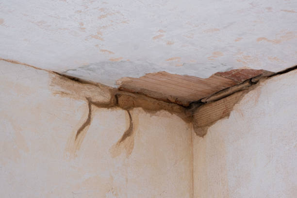 Best Water damage restoration cost  in Twin Falls, ID