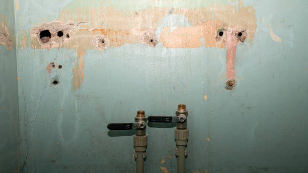 Best Professional water damage repair  in Twin Falls, ID