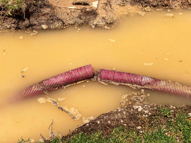 Best Water damage restoration near me  in Twin Falls, ID
